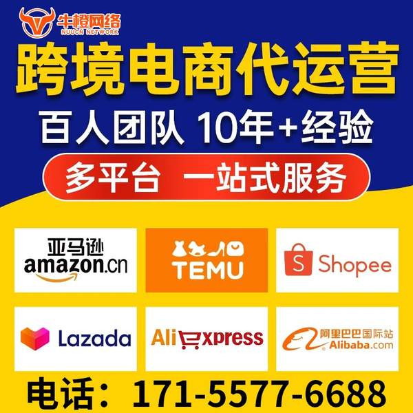 吕梁电商代运营