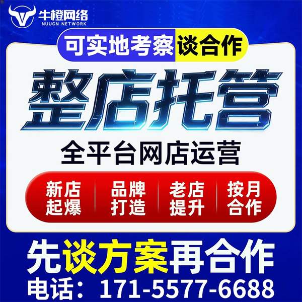 吕梁电商代运营