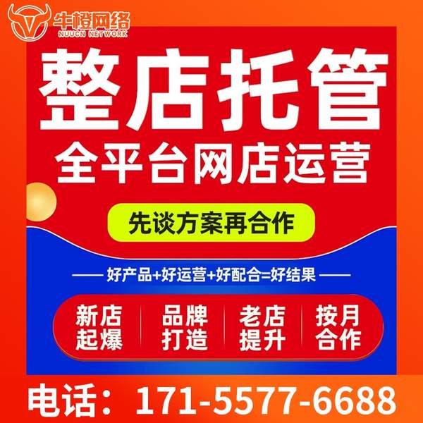 吕梁电商代运营