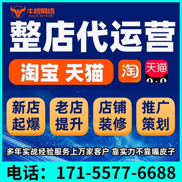 吕梁电商代运营