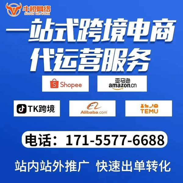 吕梁电商代运营
