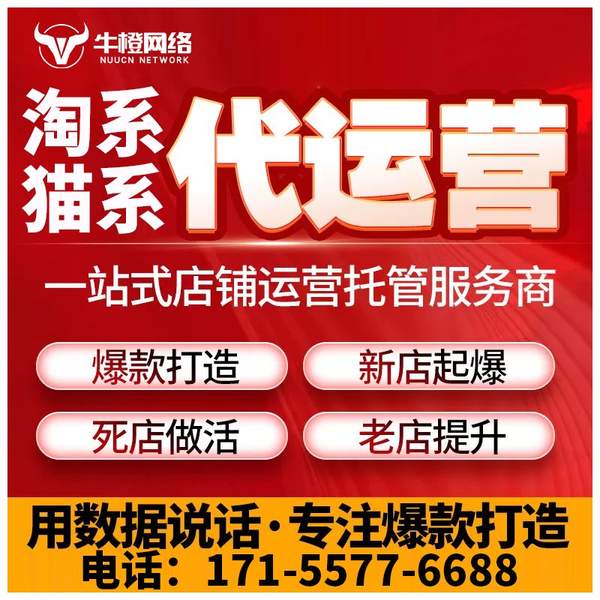 吕梁电商代运营